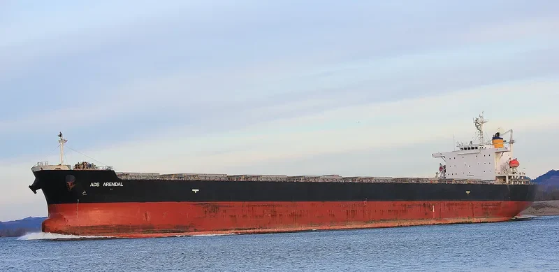 PAN DIVA Bulk Carrier IMO 9304186