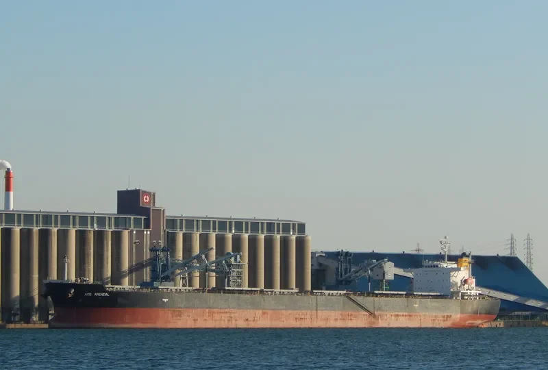 PAN DIVA Bulk Carrier IMO 9304186 photo 2