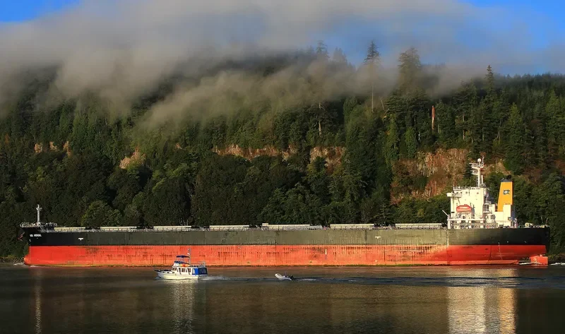 PAN DIVA Bulk Carrier IMO 9304186 photo 3
