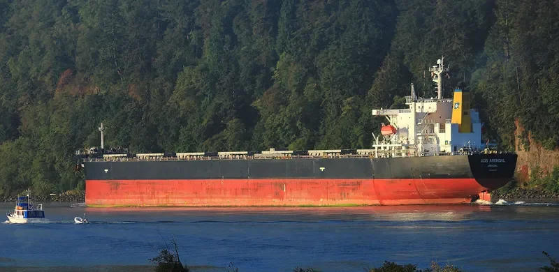 PAN DIVA Bulk Carrier IMO 9304186 photo 4