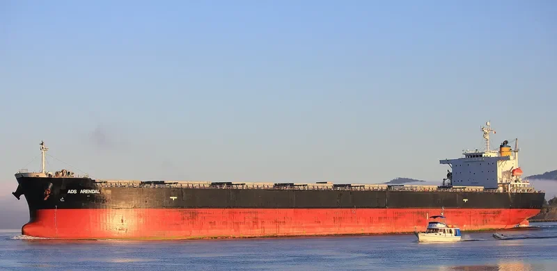 PAN DIVA Bulk Carrier IMO 9304186 photo 5