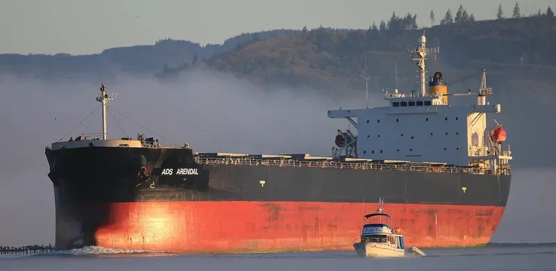 PAN DIVA Bulk Carrier IMO 9304186 photo 6