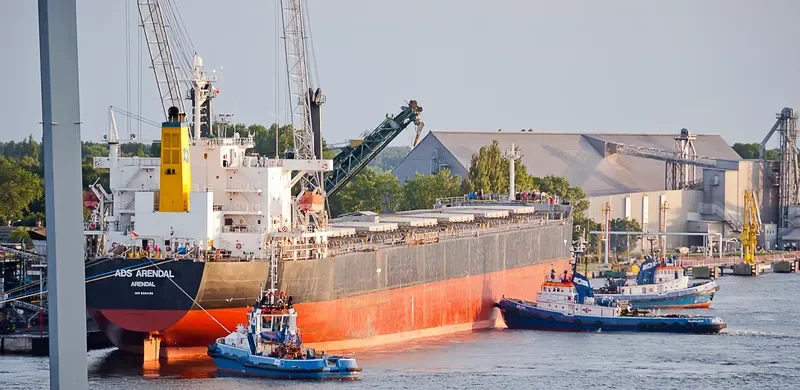 PAN DIVA Bulk Carrier IMO 9304186 photo 8
