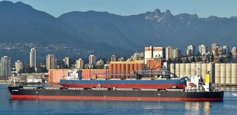 PAN DIVA Bulk Carrier IMO 9304186 photo 9