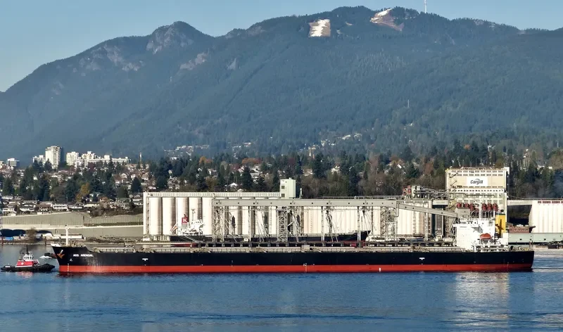 PAN DIVA Bulk Carrier IMO 9304186 photo 10