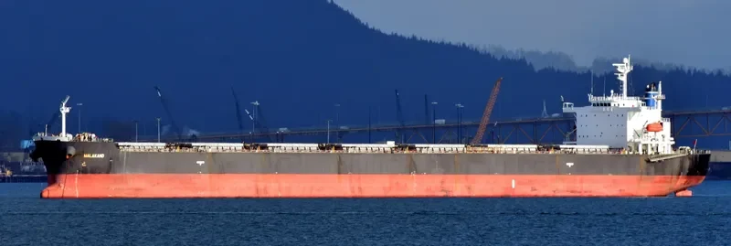 MALAKAND Bulk Carrier IMO 9304198 photo 5