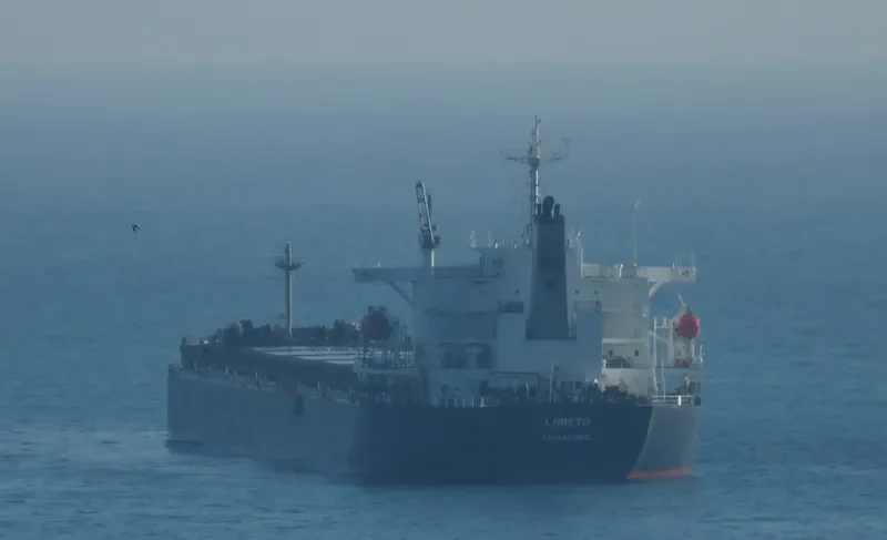 OMICRON CREST Bulk Carrier IMO 9304203 photo 2