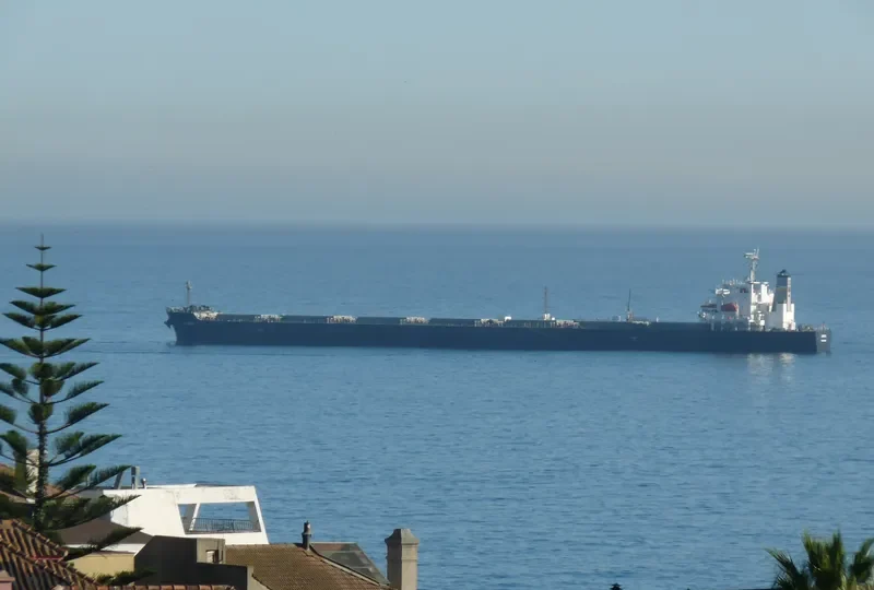 OMICRON CREST Bulk Carrier IMO 9304203 photo 4