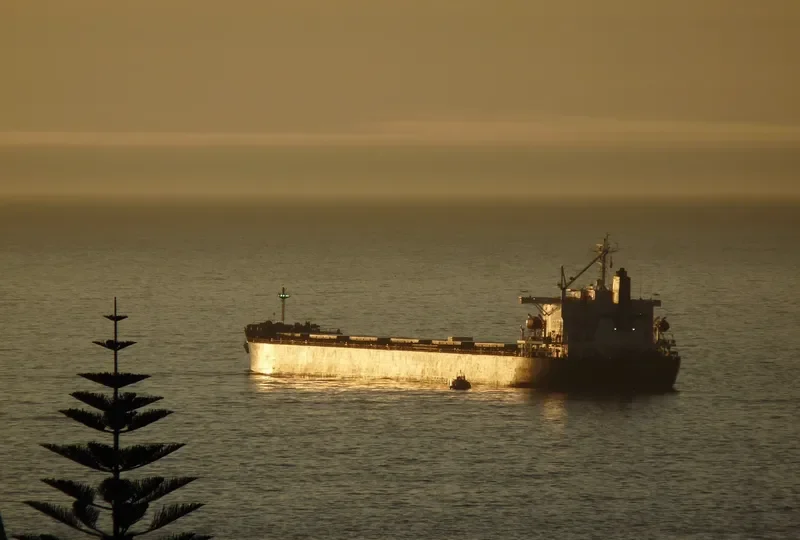 OMICRON CREST Bulk Carrier IMO 9304203 photo 6