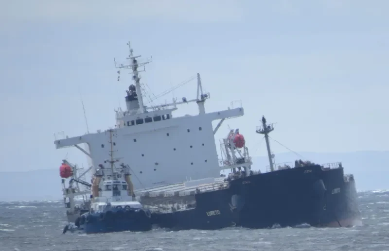OMICRON CREST Bulk Carrier IMO 9304203 photo 8