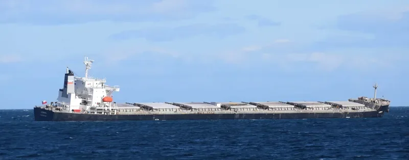 OMICRON CREST Bulk Carrier IMO 9304203 photo 10