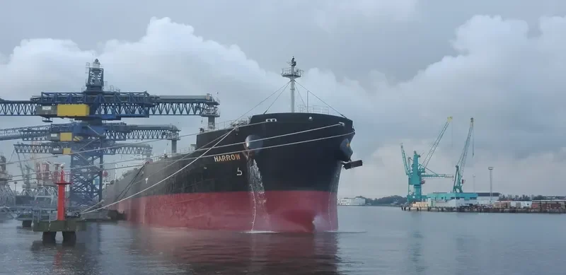 ARROW LADY Bulk Carrier IMO 9304215 photo 2
