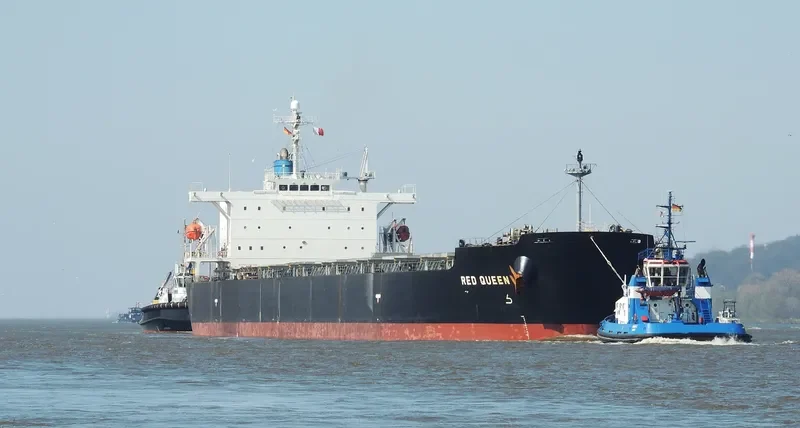 ARROW LADY Bulk Carrier IMO 9304215 photo 3