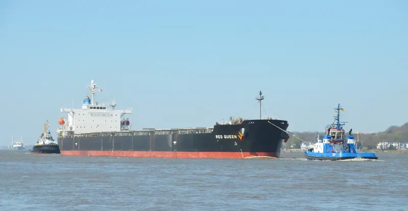 ARROW LADY Bulk Carrier IMO 9304215 photo 4
