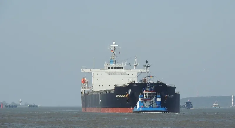 ARROW LADY Bulk Carrier IMO 9304215 photo 5