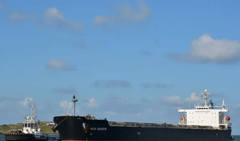ARROW LADY Bulk Carrier IMO 9304215 photo 7