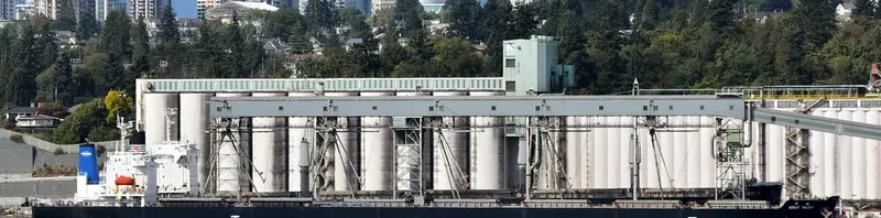 GREAT TALENT Bulk Carrier IMO 9304227