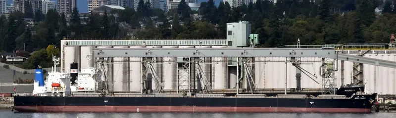 GREAT TALENT Bulk Carrier IMO 9304227 photo 2