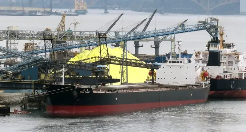 GREAT TALENT Bulk Carrier IMO 9304227 photo 7