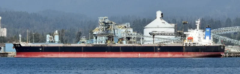 GREAT TALENT Bulk Carrier IMO 9304227 photo 8
