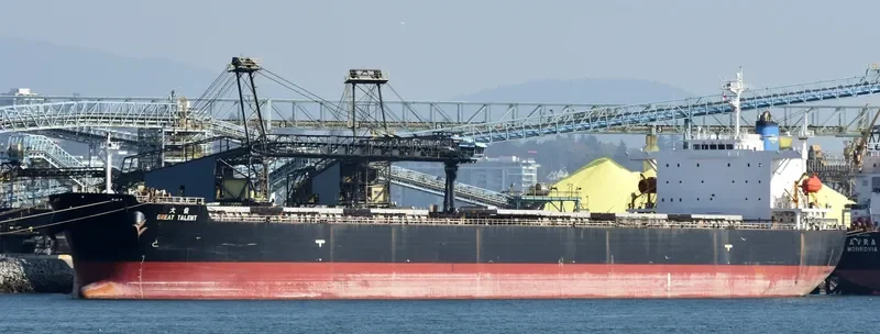 GREAT TALENT Bulk Carrier IMO 9304227 photo 9