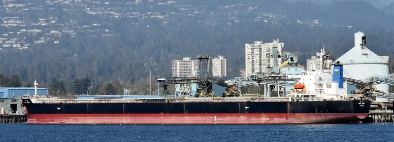 GREAT TALENT Bulk Carrier IMO 9304227 photo 10