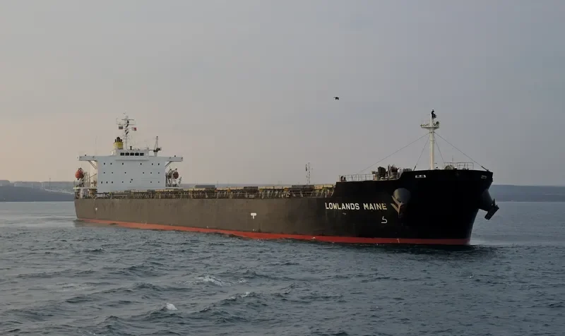 LOWLANDS MAINE Bulk Carrier IMO 9304239 photo 2