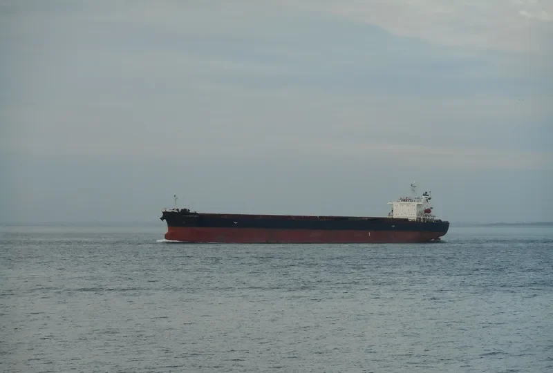 GOOD HOPE MAX Bulk Carrier IMO 9304241 photo 3