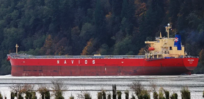 NAVIOS ASTERIKS Bulk Carrier IMO 9304253 photo 10
