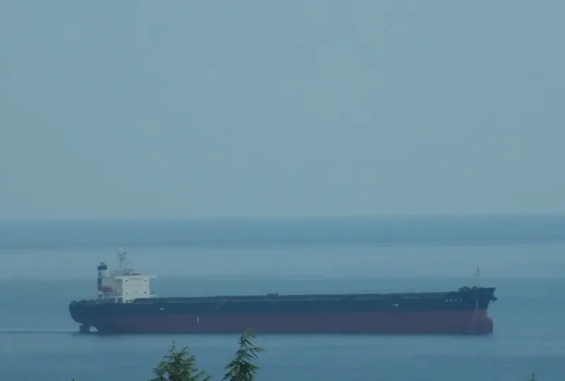 IVESTOS 5 Bulk Carrier IMO 9304265 photo 10