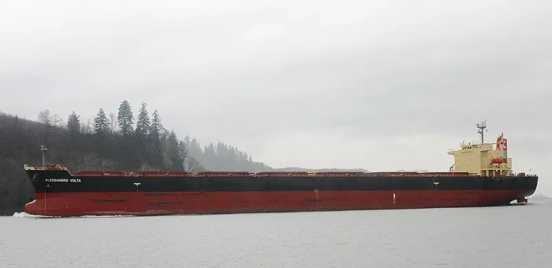 OMICRON TITINA Bulk Carrier IMO 9304277 photo 4