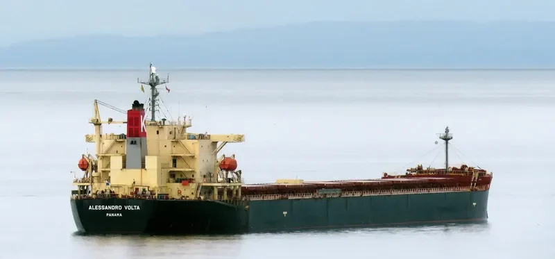 OMICRON TITINA Bulk Carrier IMO 9304277 photo 10