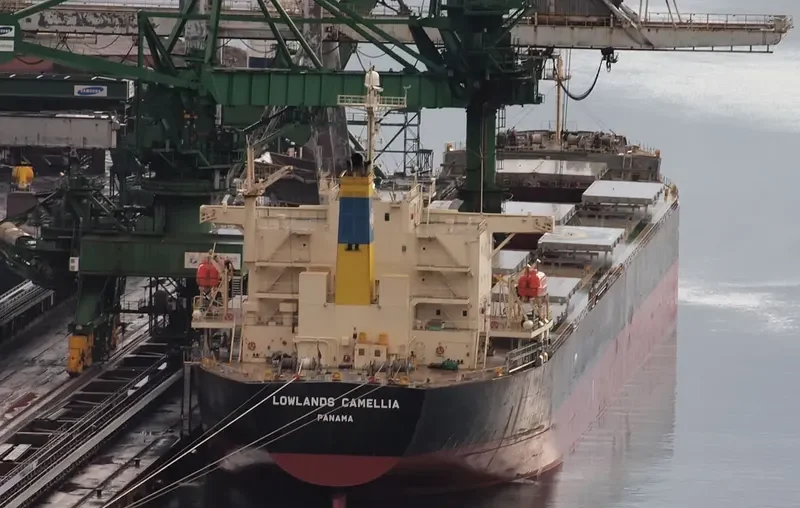 NENITA Bulk Carrier IMO 9304289 photo 3