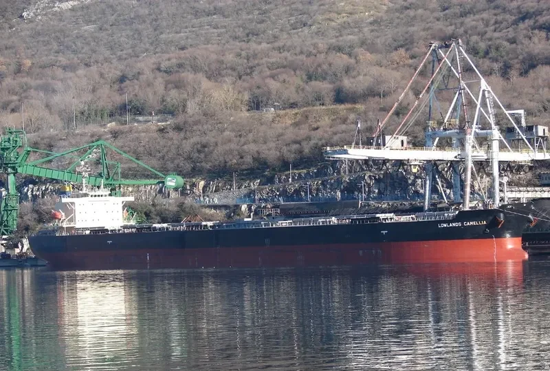 NENITA Bulk Carrier IMO 9304289 photo 4