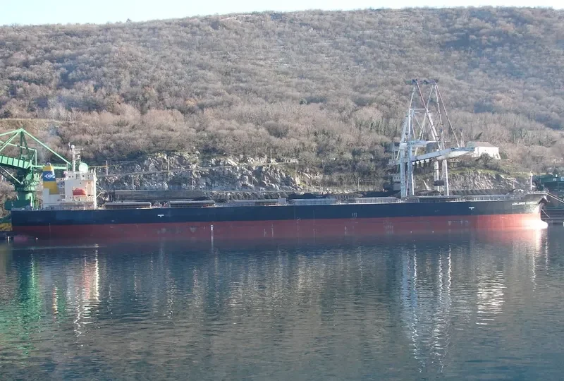 NENITA Bulk Carrier IMO 9304289 photo 5