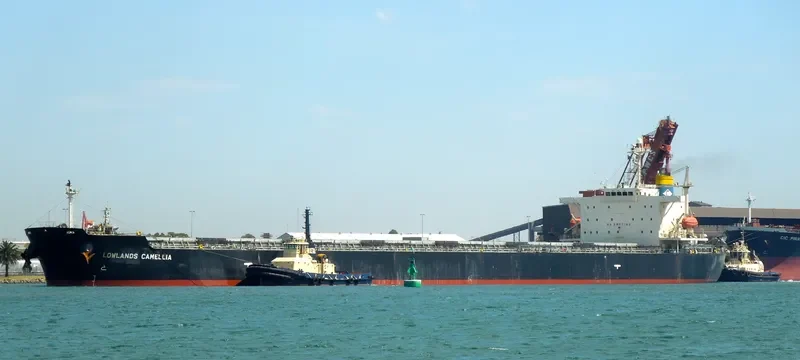 NENITA Bulk Carrier IMO 9304289 photo 7