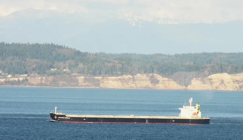 NENITA Bulk Carrier IMO 9304289 photo 8