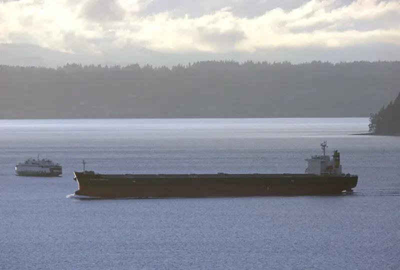 NENITA Bulk Carrier IMO 9304289 photo 9
