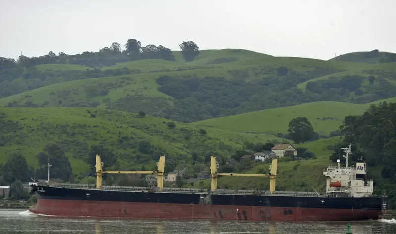 TAI HONESTY Bulk Carrier IMO 9304370
