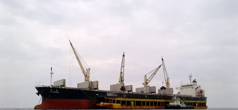 TAI HUNTER Bulk Carrier IMO 9304382