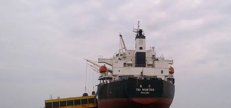 TAI HUNTER Bulk Carrier IMO 9304382 photo 2