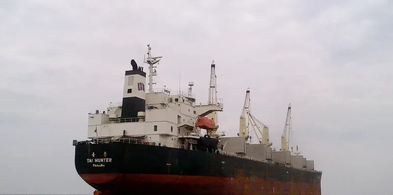 TAI HUNTER Bulk Carrier IMO 9304382 photo 4