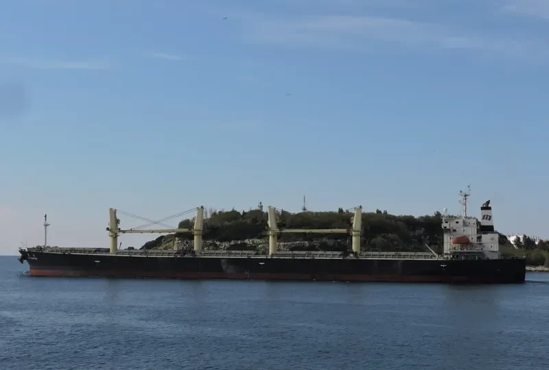 TAI HUNTER Bulk Carrier IMO 9304382 photo 6