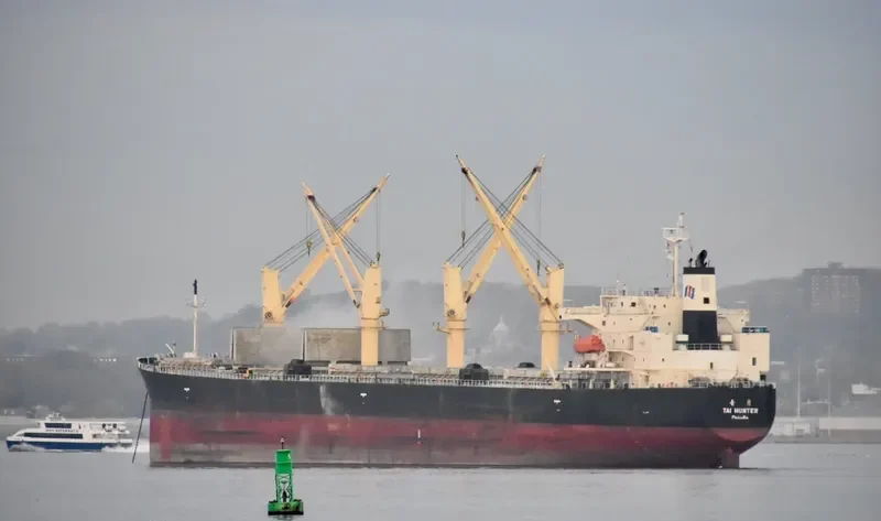 TAI HUNTER Bulk Carrier IMO 9304382 photo 8