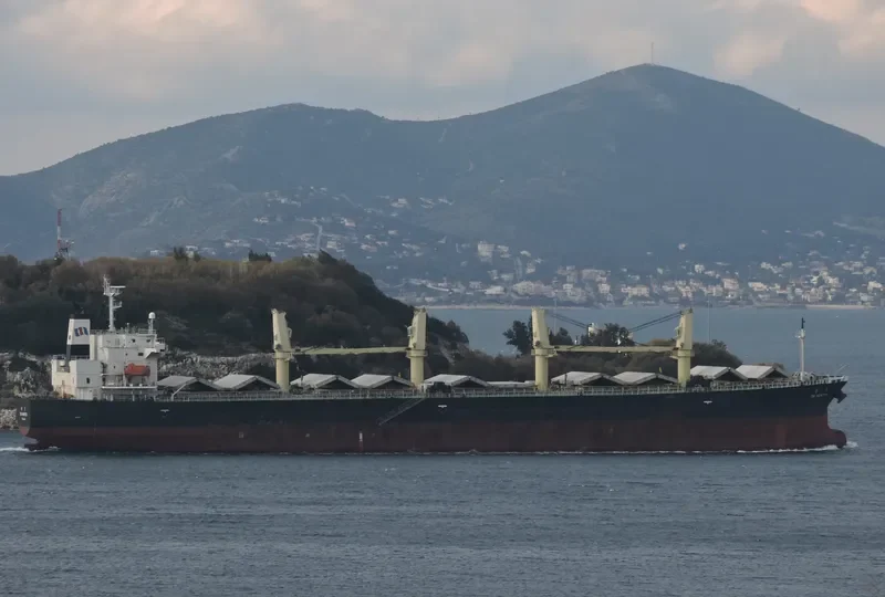 TAI HUNTER Bulk Carrier IMO 9304382 photo 10