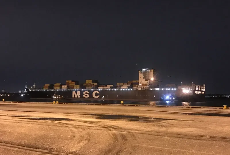 MSC ESTHI Container Ship IMO 9304411 photo 5
