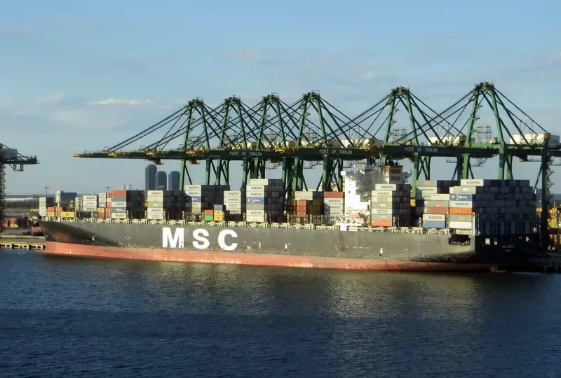 MSC ESTHI Container Ship IMO 9304411 photo 7