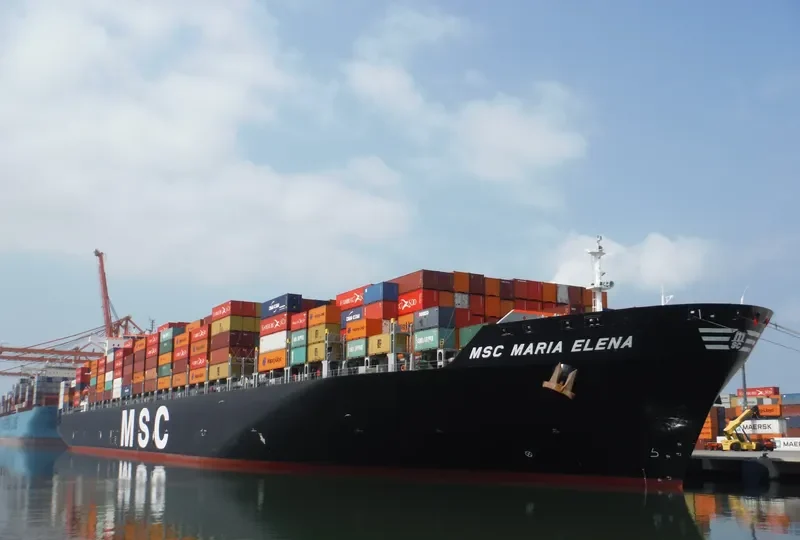 MSC MARIA ELENA Container Ship IMO 9304423