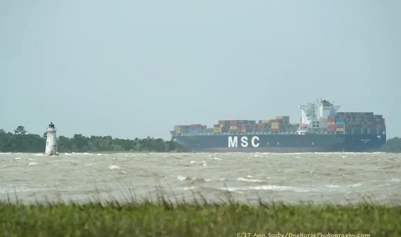 MSC JOANNA Container Ship IMO 9304435