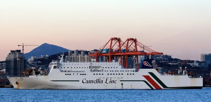 NEW CAMELLIA Ro-Ro IMO 9304497 photo 7
